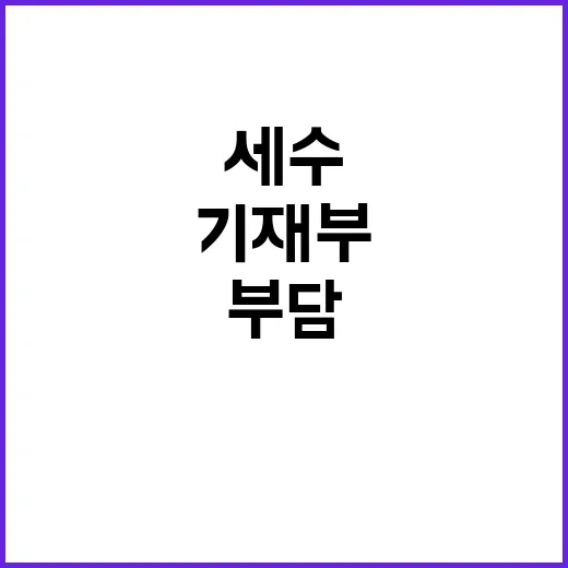 세수부족 부담 기재…