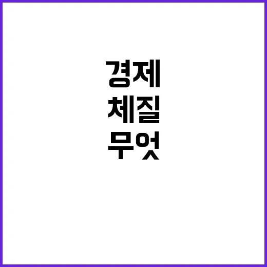 경제 체질 무엇이 …