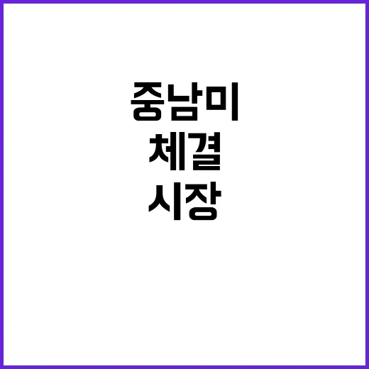 브라질 중남미 최대 콘텐츠 시장의 저작권 협약 체결!