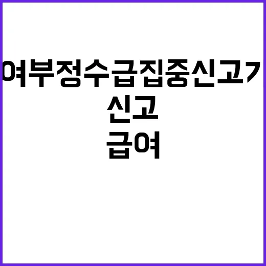 “요양급여 부정수급…