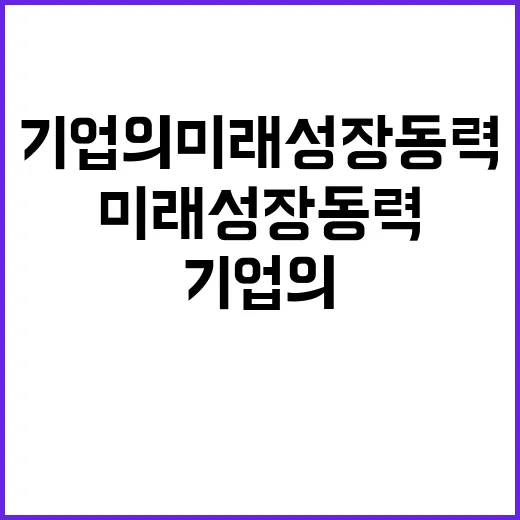 해외활동 국민과 기…