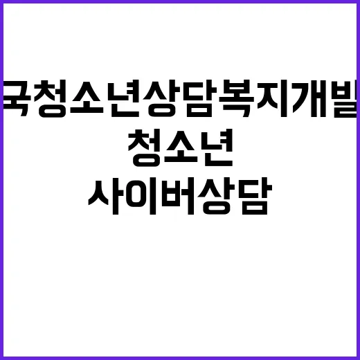 한국청소년상담복지개…