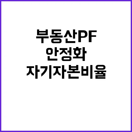 부동산 PF 자기자본비율 안정화 기대하는 사업들!