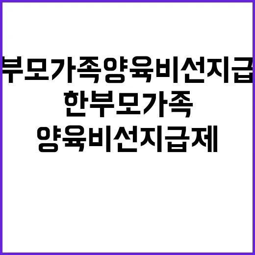 한부모가족 양육비 선지급제 행복한 사회 기대!