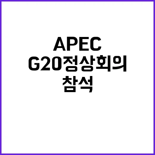 페루 APEC 참석 브라질 G20 정상회의 성과 공개!