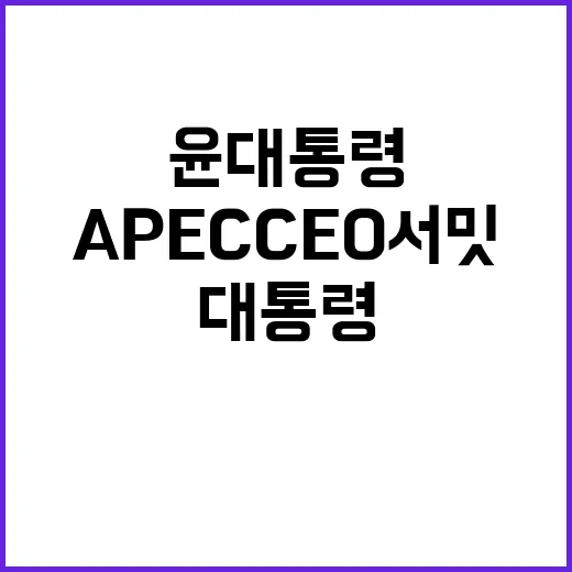 APEC CEO 서밋 윤 대통령의 새로운 협력 방향 공개!