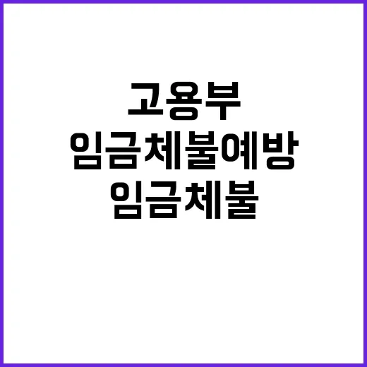 임금체불 예방 고용…