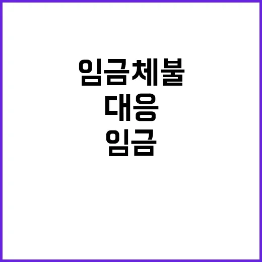 임금체불 중대범죄 …