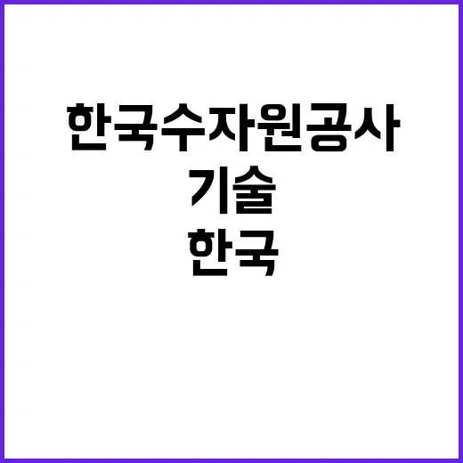 한국수자원공사 비정…