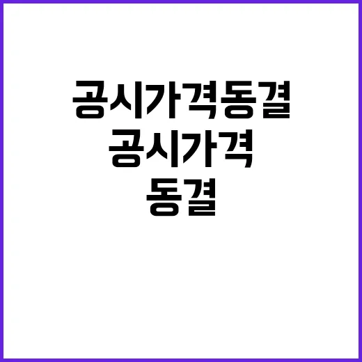 공시가격 동결 내년…