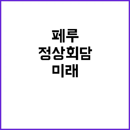 정상회담 한·페루 …