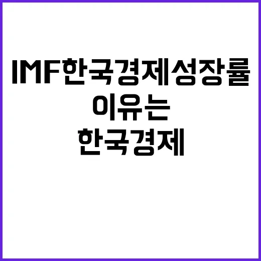 IMF 한국 경제 …