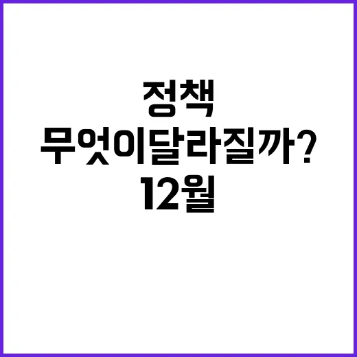 12월 변화 정책 무엇이 달라질까?