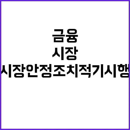 금융위원장 시장안정 조치 적기 시행!