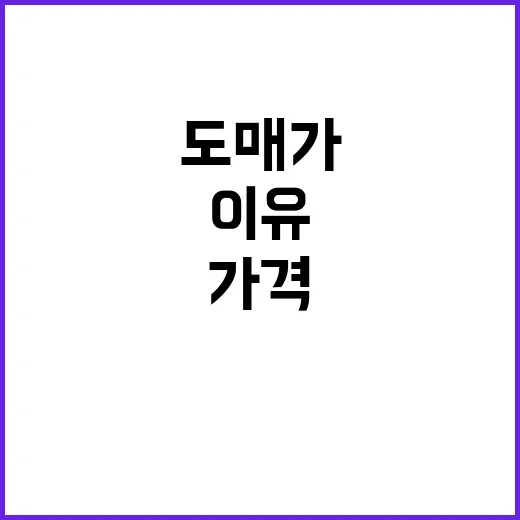 딸기 가격 안정 도매가 하락 이유 확인!