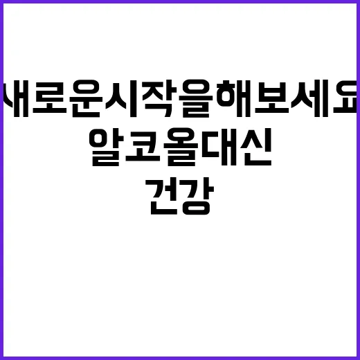 건강 12월 알코올 대신 새로운 시작을 해보세요!