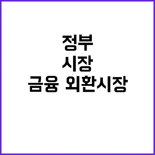 정부의 안정적 금융·외환시장 점검 주식시장 반응은?