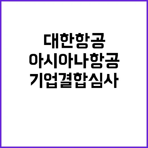 대한항공아시아나항공 기업결합 심사 결과는?