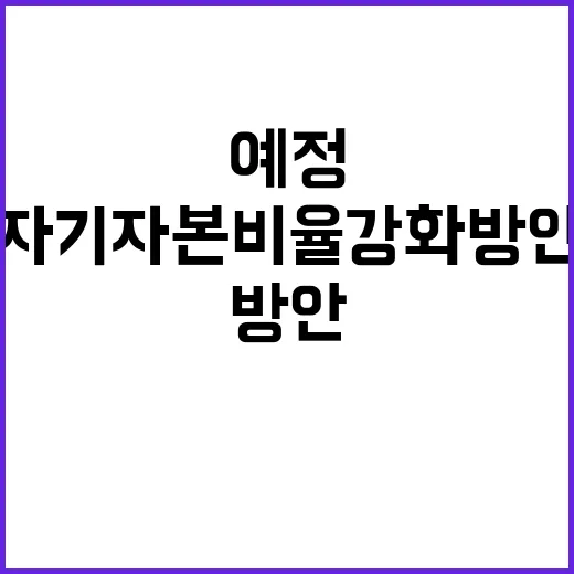 금융위 자기자본 비율 강화 방안 곧 발표 예정!