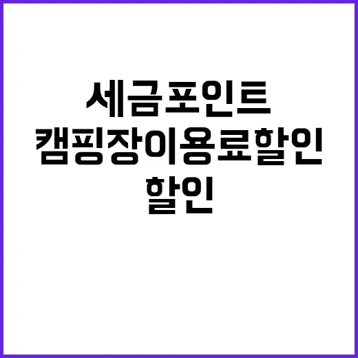 세금포인트 캠핑장 이용료 할인으로 즐기자!