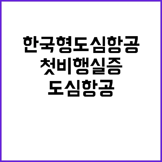 한국형 도심항공 첫…