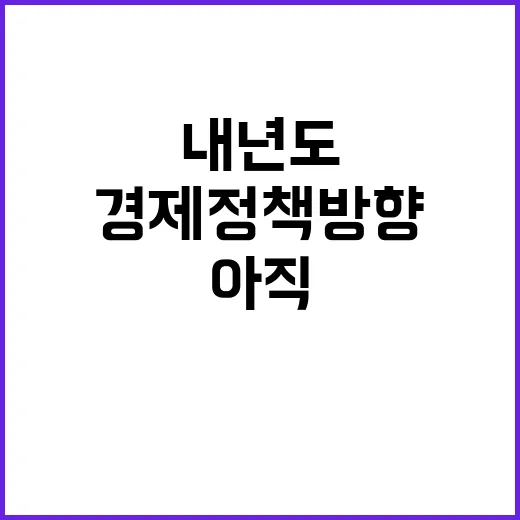 경제정책방향 내년도 계획은 아직 미정입니다!