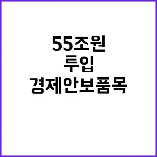 경제안보품목 의존도 감소 55조 원 투입!