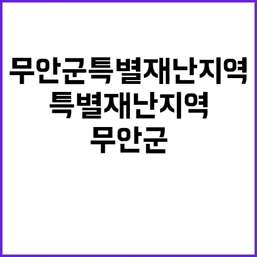 무안군 특별재난지역…