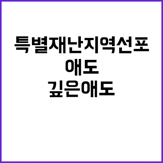 “특별재난지역 선포…