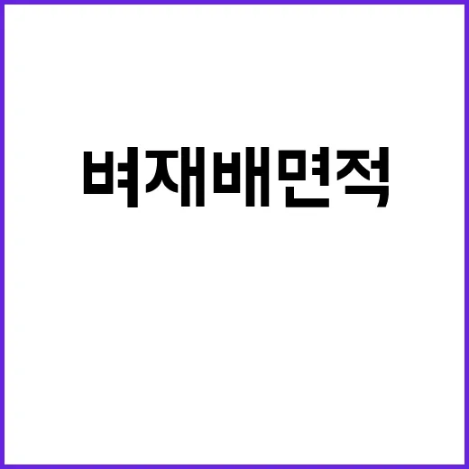 벼 재배면적 쌀 시…