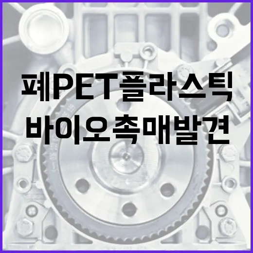 폐 PET 플라스틱 세계 최고 성능 바이오촉매 발견!