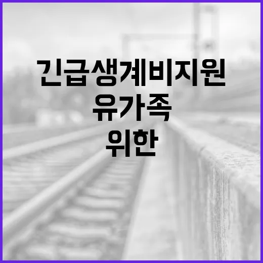 긴급생계비 지원 저…