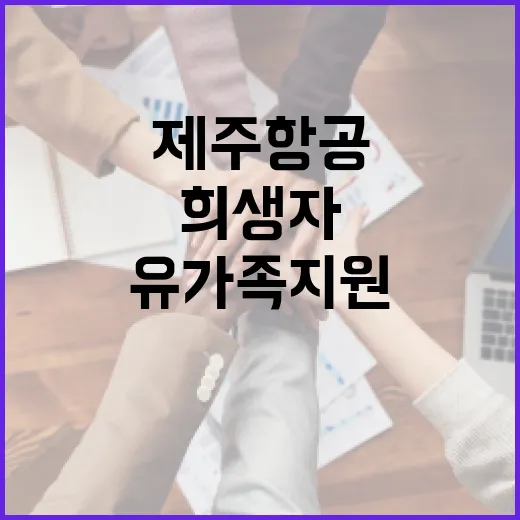 제주항공 희생자 유…