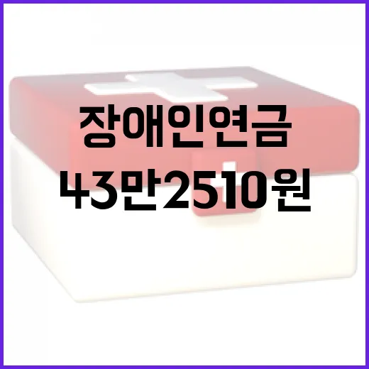 장애인연금 43만 2510원 전년비 7700원 인상!