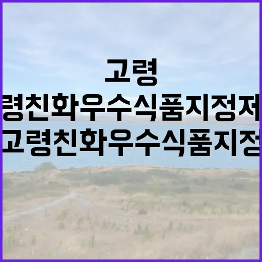 고령친화우수식품 지정제도 정상 운영 중 사실!