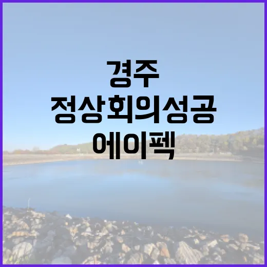 문화행사 경주 에이펙 정상회의 성공 지원 소식!