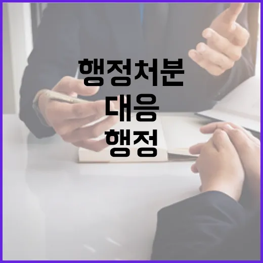 행정처분 보완 기회…