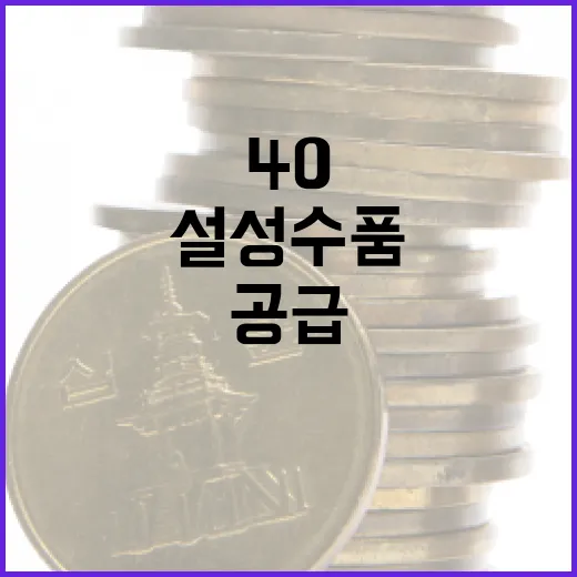 설 성수품 16만 8000톤 공급 마트 할인 최대 40%!