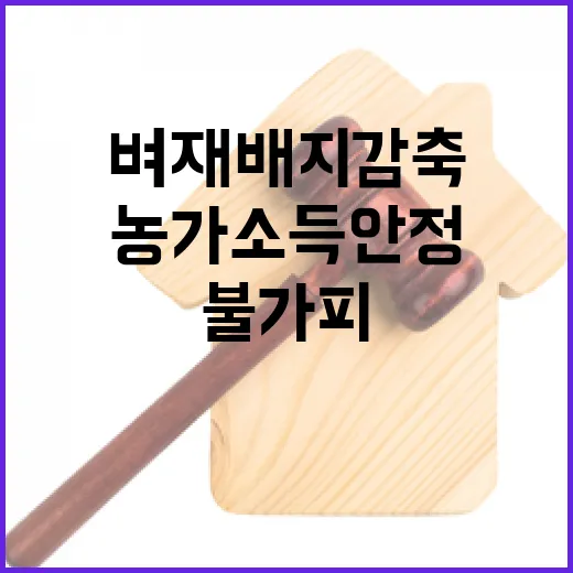 벼 재배지 감축 농가소득 안정 위한 불가피 조치!