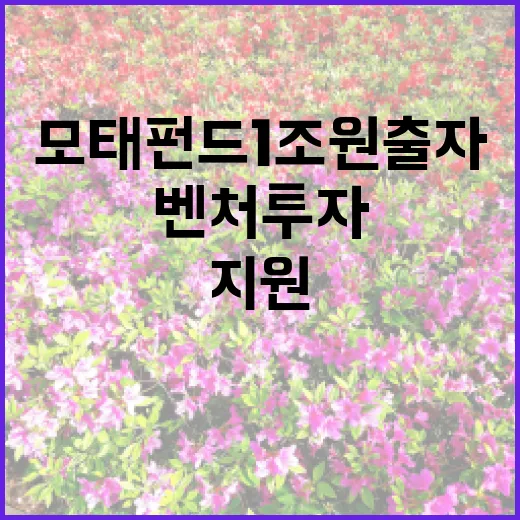 모태펀드 1조원 출자와 벤처투자 지원 비결!