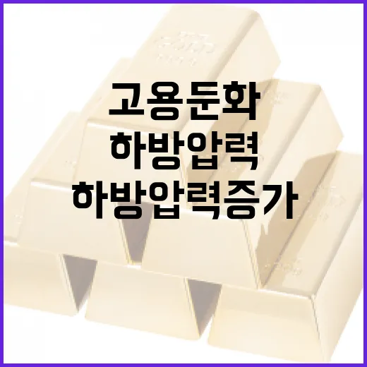 경제동향 고용 둔화와 하방 압력 증가!