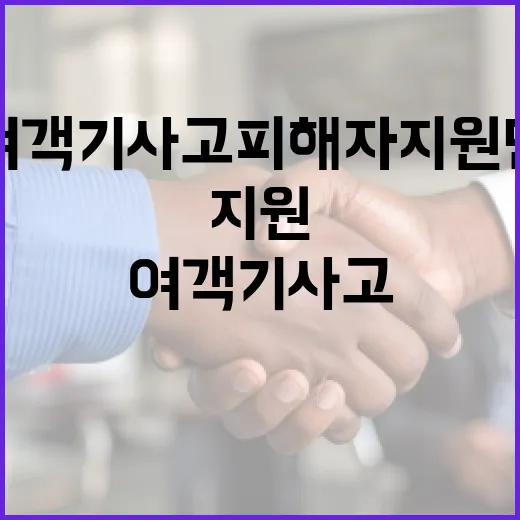 여객기 사고 피해자…