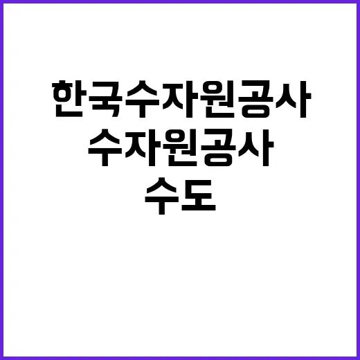 한국수자원공사 비정…