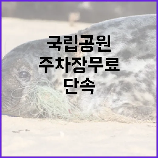 국립공원 주차장 무…