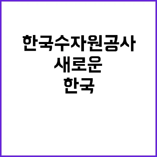 한국수자원공사 비정…