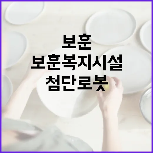 첨단로봇 보훈복지시…