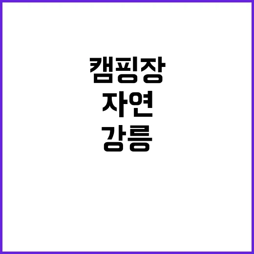 자작 캠핑장