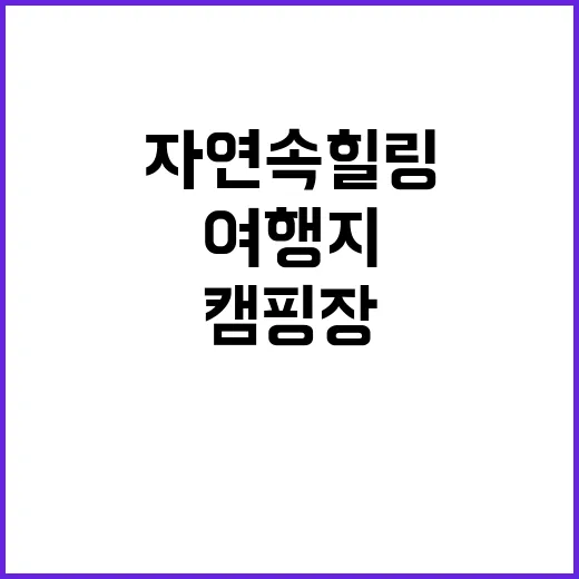 소나무 캠핑장