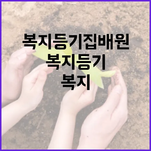 복지 등기집배원 위…