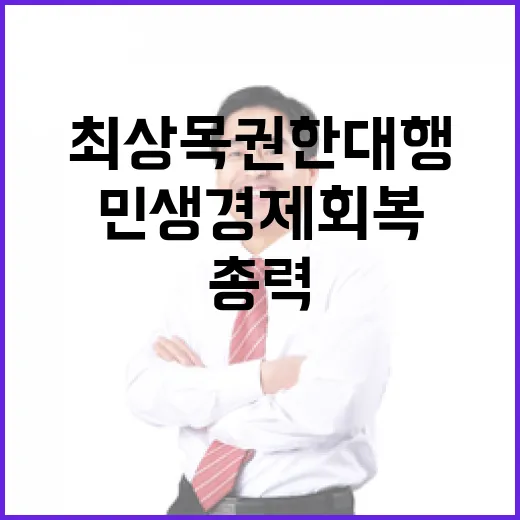 민생경제 회복 최상목 권한대행의 총력 다짐!